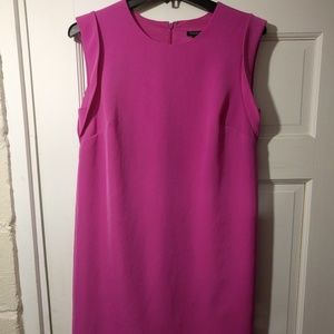 Pink ann taylor dress